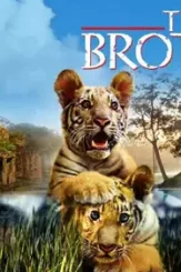 60036236 - DesireMovies, DesireMovies2.My