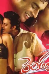 81xtwrh6ffl._sl1500_ - DesireMovies, DesireMovies2.My