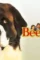 Beethovens 1992 1 - DesireMovies, DesireMovies2.My