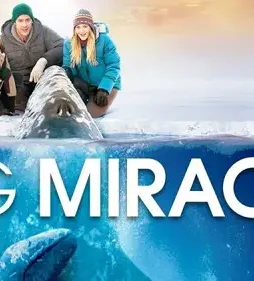 Big miracle 2012 p - DesireMovies, DesireMovies2.My