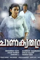 Chanakyathanthram malayalam movie review veeyen 4 - DesireMovies, DesireMovies2.My