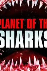 Planet_of_the_sharks s - DesireMovies, DesireMovies2.My