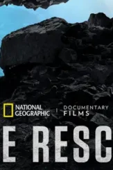 Screen shot 2021 09 10 at 21.43.12 2 - DesireMovies, DesireMovies2.My