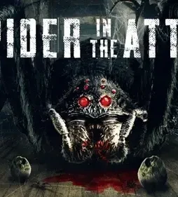 Spider in the attic 2021p - DesireMovies, DesireMovies2.My