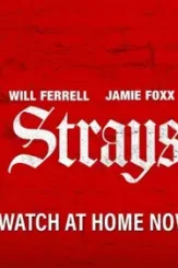 Strays 2023 p - DesireMovies, DesireMovies2.My