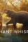 The elephant whisperers 2022 p - DesireMovies, DesireMovies2.My