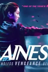 Villainess - DesireMovies, DesireMovies2.My