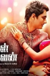 Artwork - DesireMovies, DesireMovies2.My