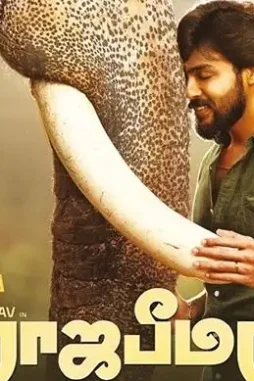 Cdsvdsv - DesireMovies, DesireMovies2.My