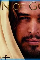 Sonofgod - DesireMovies, DesireMovies2.My