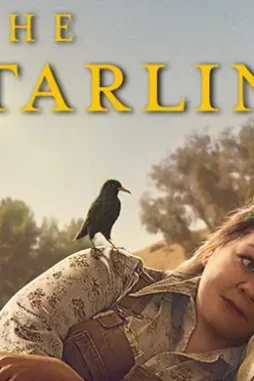 The_starling_2021_folder_icon_by_hoachy_new_derkwbl fullview - DesireMovies, DesireMovies2.My