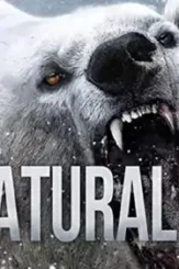 Unnatural 734969w - DesireMovies, DesireMovies2.My