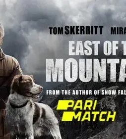 Zt2rpaszslifudmvz7paurjnzwk - DesireMovies, DesireMovies2.My