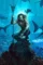 Aquaman poster f - DesireMovies, DesireMovies2.My