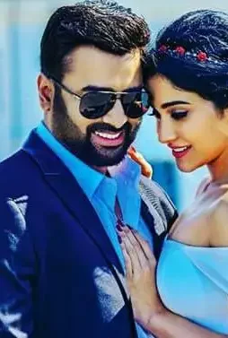 Balakrishnudu movie posters 2 - DesireMovies, DesireMovies2.My