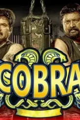 Coverss - DesireMovies, DesireMovies2.My