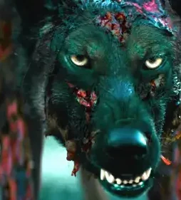 Maxresdefault 3 - DesireMovies, DesireMovies2.My