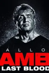 Ramboheader - DesireMovies, DesireMovies2.My