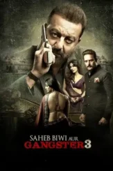 saheb biwi aur gangster 3 2018 , DesireMovies