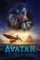 avatar the way of water 2022 , DesireMovies