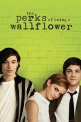 the perks of being a wallflower 2012 , DesireMovies