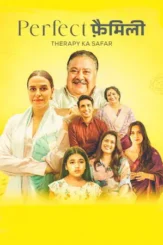 perfect family 2025 , DesireMovies