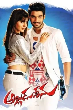 alludu seenu 2014 , desiremovies