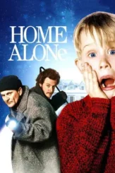 home alone 1990 , desiremovies