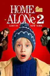 home alone 2 lost in new york 1992 , desiremovies