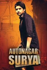 autonagar surya 2014 , desiremovies