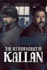 valathu vashathe kallan 2026 , desiremovies