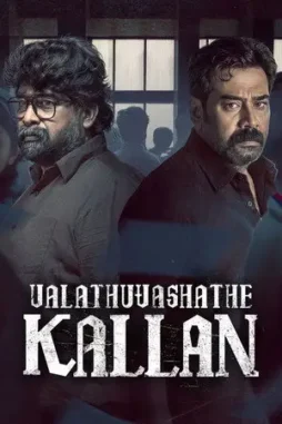 valathu vashathe kallan 2026 , desiremovies